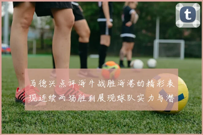 马德兴点评海牛战胜海港的精彩表现连续两场胜利展现球队实力与潜力