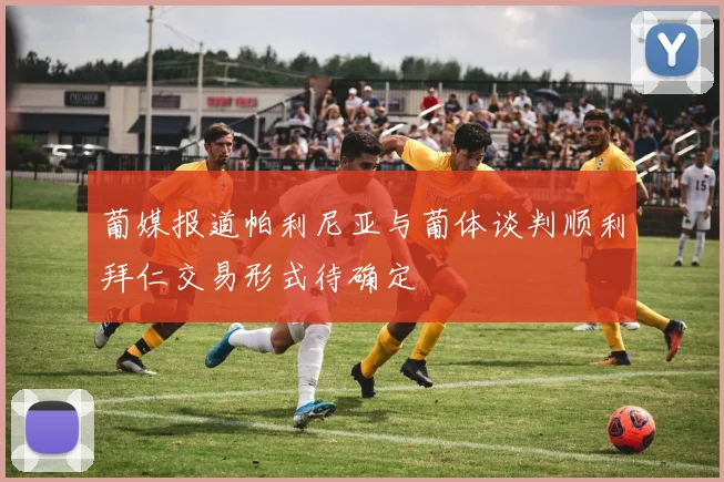 葡媒报道帕利尼亚与葡体谈判顺利拜仁交易形式待确定